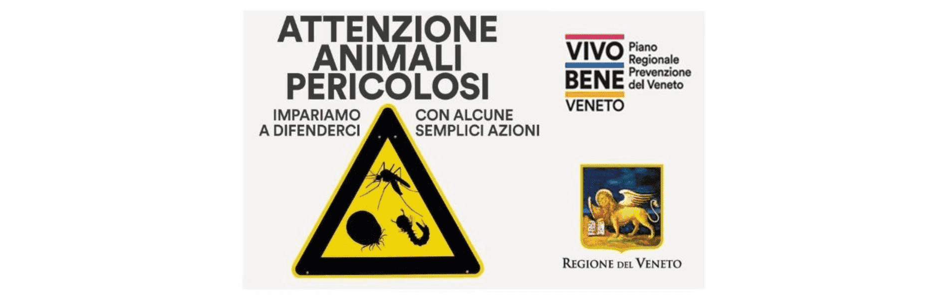 Campagna di comunicazione a supporto della sorveglianza e il controllo delle Arbovirosi nella Regione Veneto